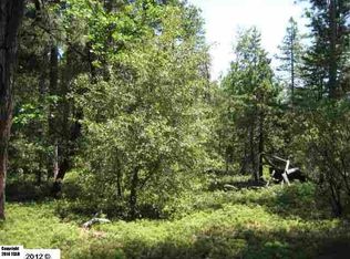 20 Acres, Twain Harte, CA 95383