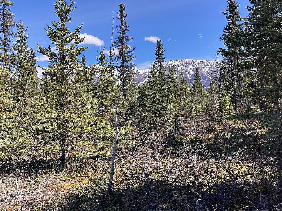 2nd image of TRACTS 15 & 16 Kennicott River Land Tracts