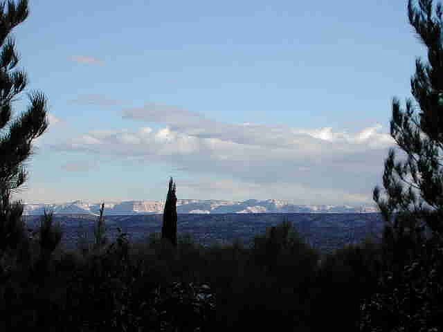 View from patio