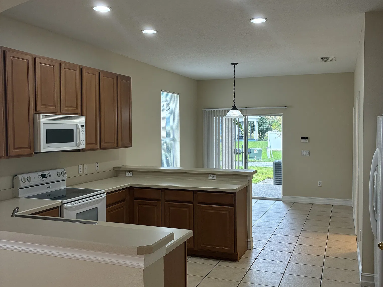 3343 Bracken Fern - 1 — Photo 4