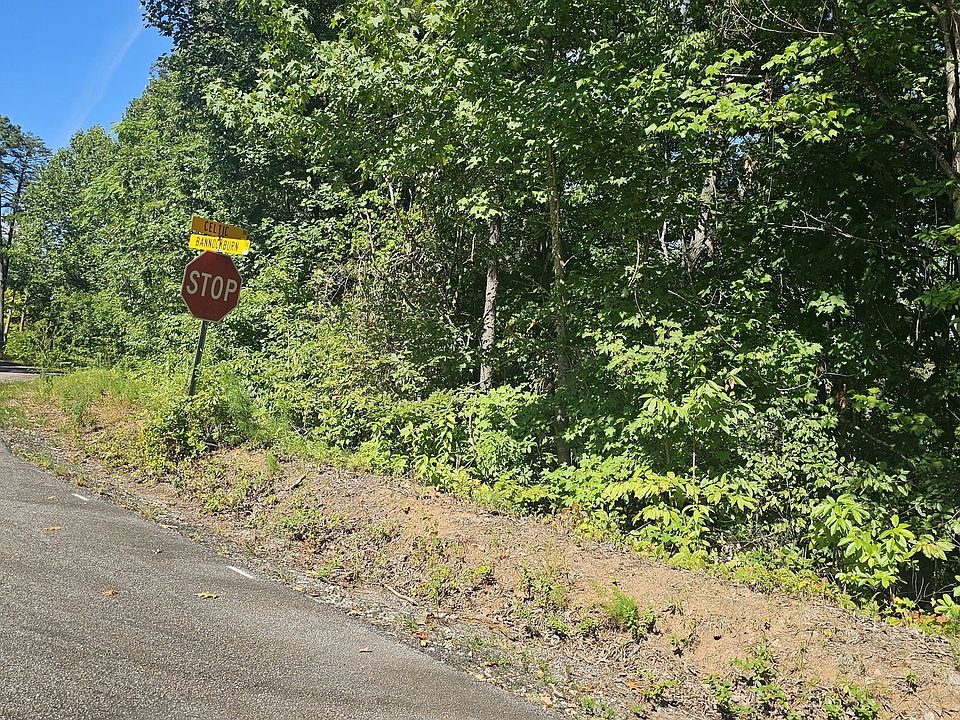 2nd image of 0 Heavenly Cir #41