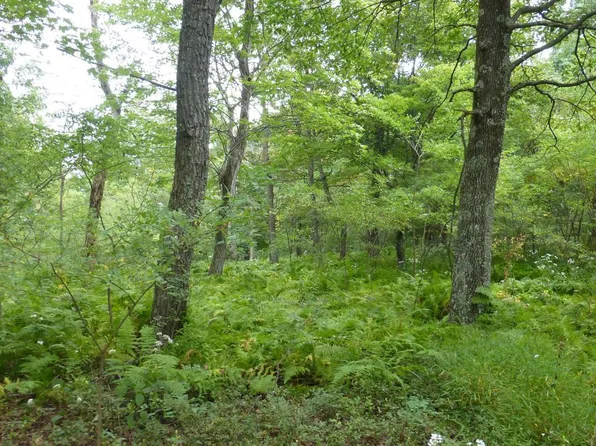 18 Top Of The Mountain Rd, Moorefield, WV 26836