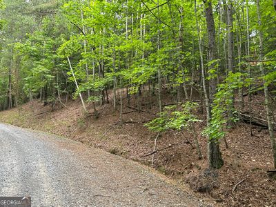 LOT 2788 Medina Ct, Ellijay, GA, 30540
