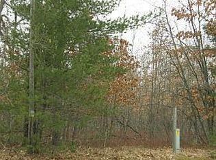 Hoxeyville Rd, Wellston, MI 49689