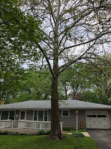 1st image of 632 Iroquois Dr
