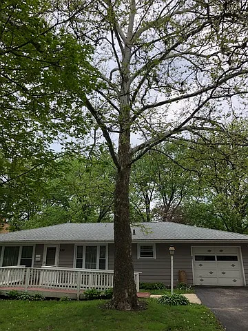 632 Iroquois Dr photo 1