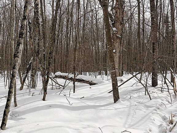 3rd image of 3 Log Lodge Rd