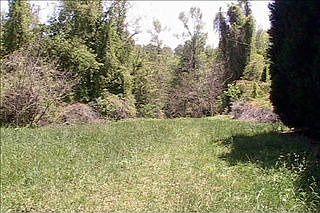 2nd image of 2146 Saren Ct