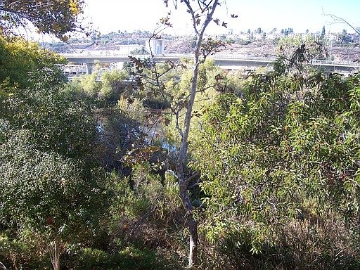 4th image of 510 Camino De La Reina Unit 234