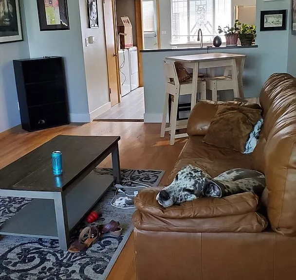 3381 Yarrow St — Photo 4