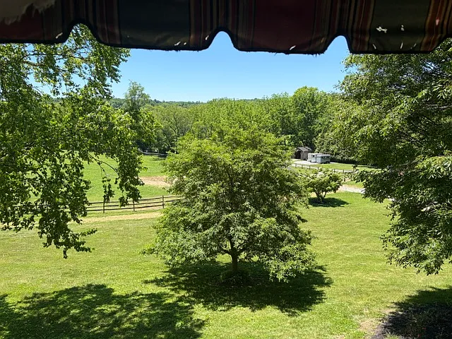 Beautiful View from Deck