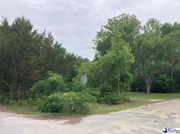 E Hudson St, Dillon, SC 29536