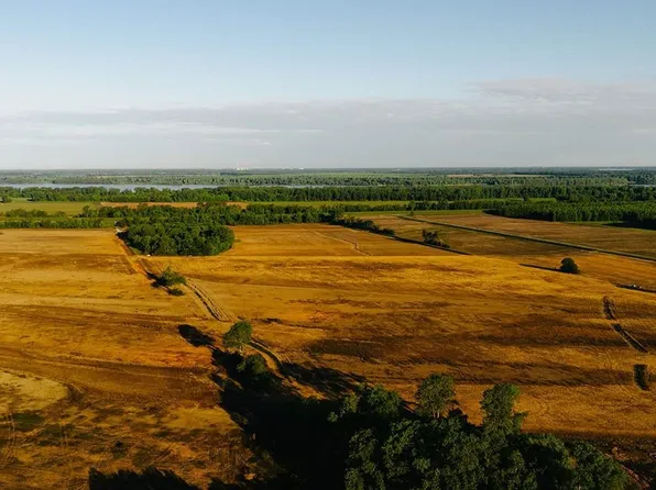 Earl Trim Rd, Tiptonville, TN 38079