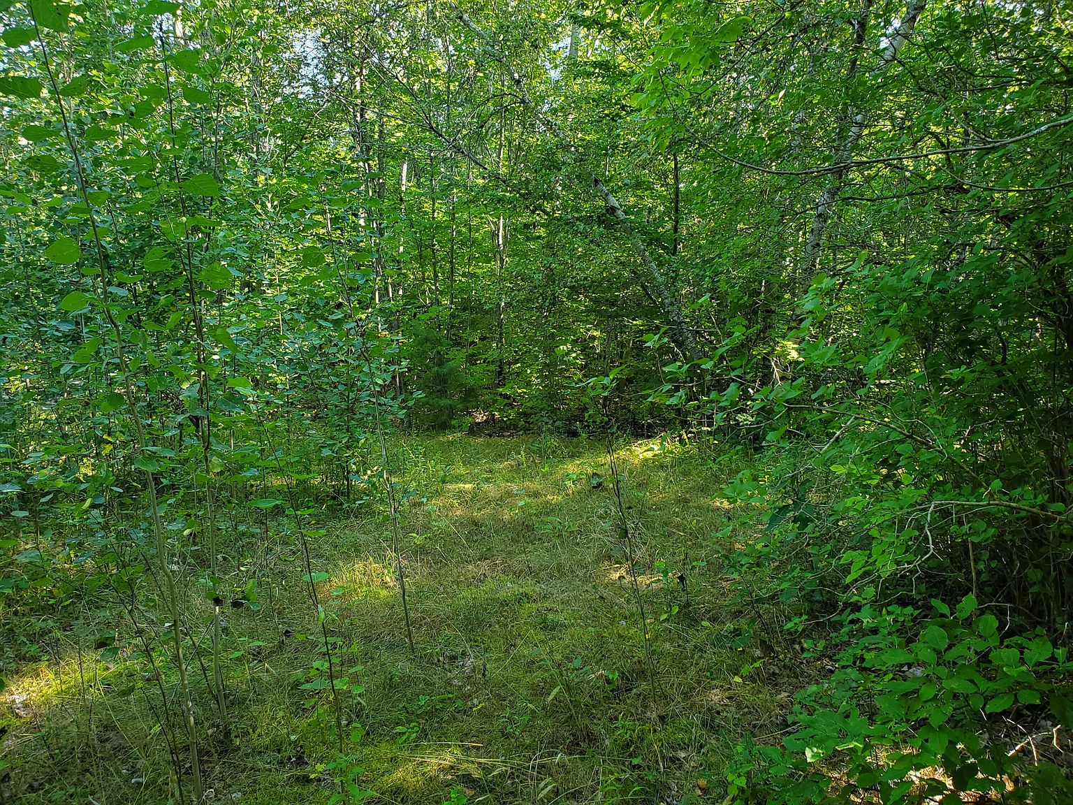 582 Western Avenue Lot 54, Dixmont, ME 04932 Zillow