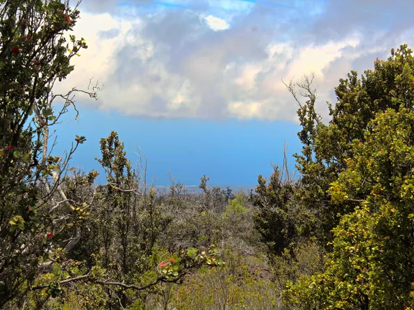 Pineapple Circle Makai Lot 15, Captain Cook, HI 96704
