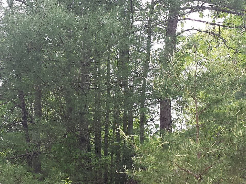 2nd image of Bern Ln