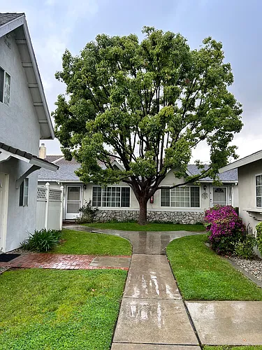 613 S 5th Ave #C Photo 1 613 S 5th Ave #C Photo 1