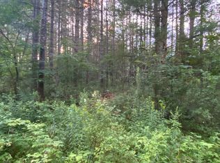 141 Elm Lake Rd, Speculator, NY 12164