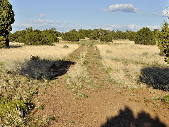 5th image of 3735 Bum Heel Ranch Rd