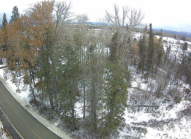 2nd image of 544 E Evergreen Dr