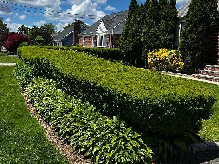 Well maintained houses in the area .