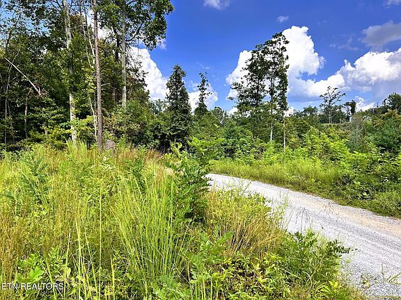 2nd image of 125 Chestnut Mountain Rd Lot 1