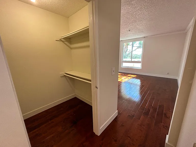 Walk-in closet of main bedroom