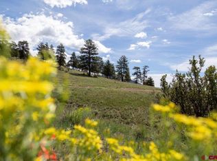 645 Cliff View Drive, Creede, CO 81130