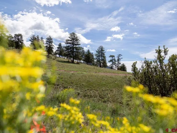 645 Cliff View Drive, Creede, CO 81130