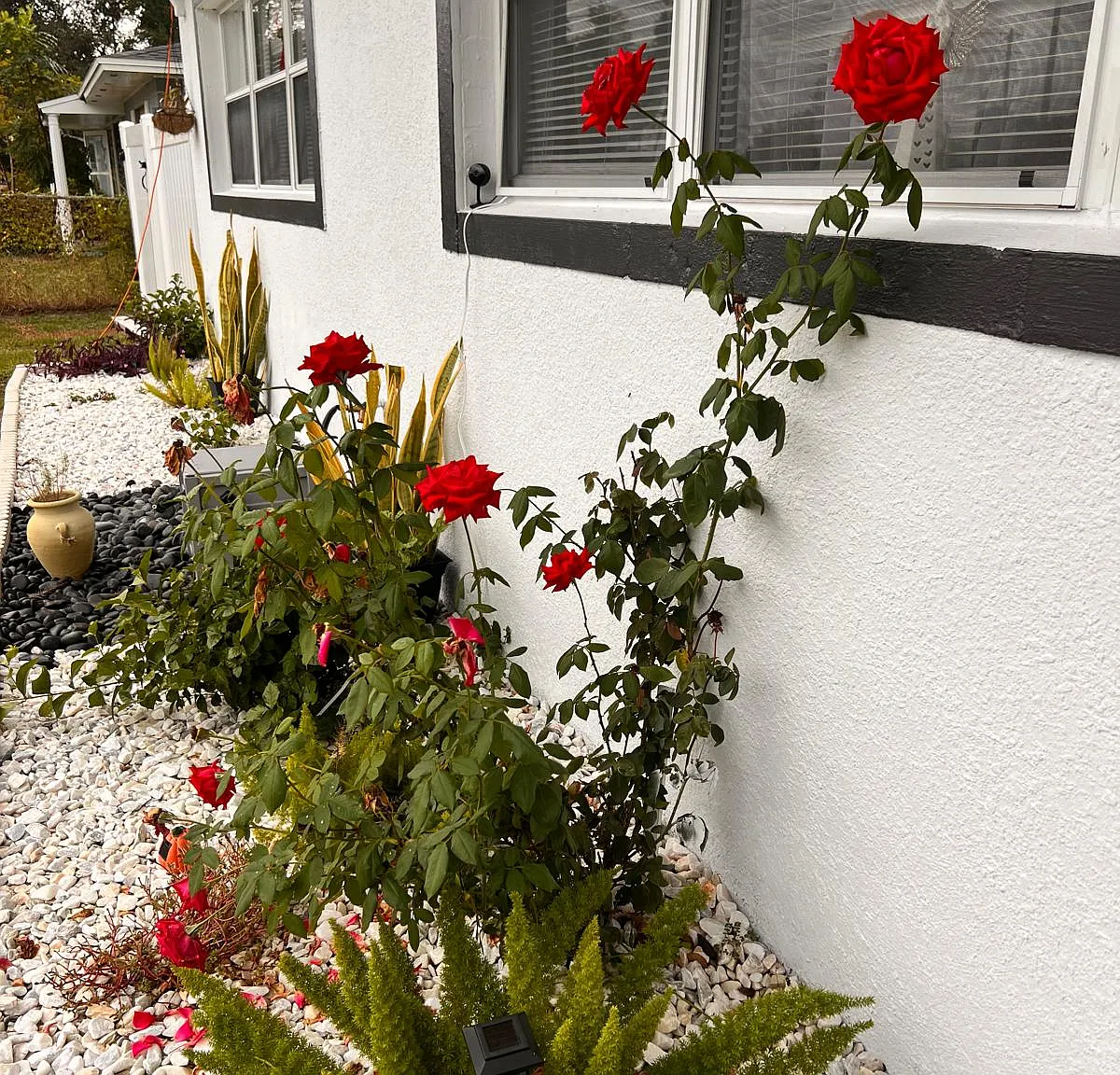 4870 Seminole Ave — Photo 2