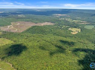 98/COUNTY Road 209, Collinsville, AL 35961
