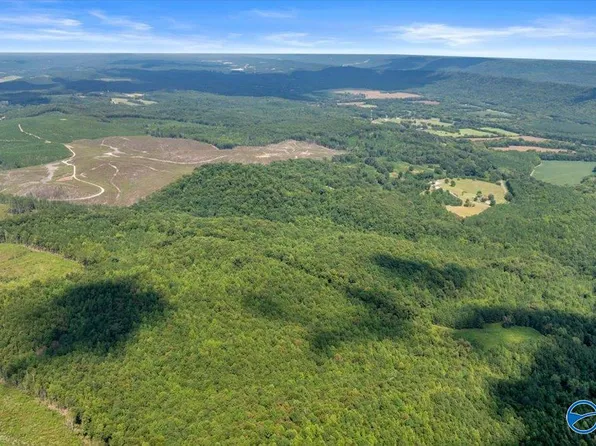 98/COUNTY Road 209, Collinsville, AL 35961