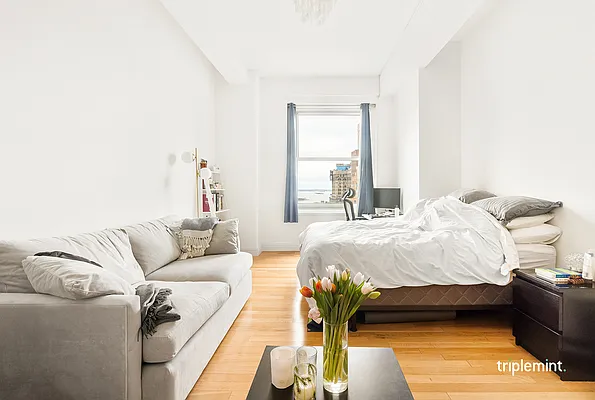 Sold by Triplemint | media 1