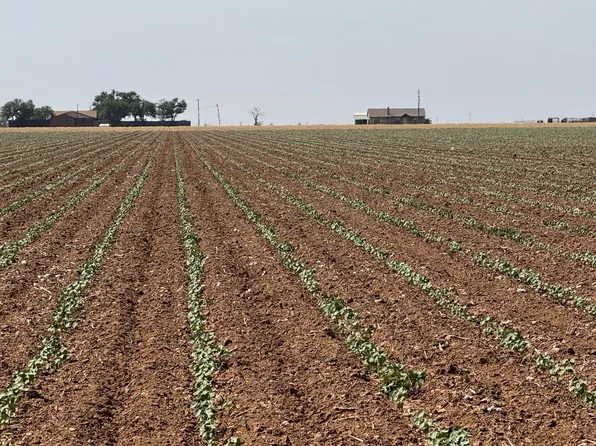 3915 E Fm 1729, Lubbock, TX 79403
