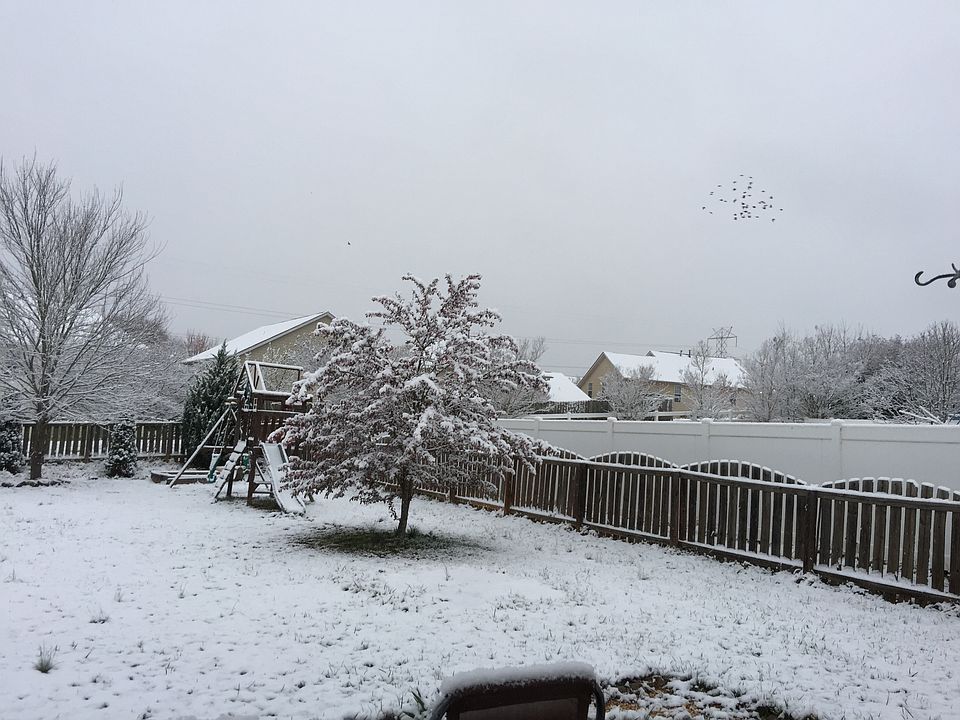1st image of 118 Morrocroft Ln
