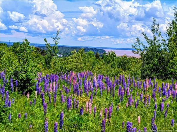 1266 Albert Mines Rd, Hopewell, NB E4H 1X1