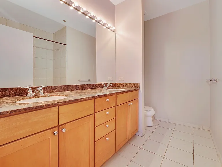 720 N Larrabee St #1706 — Photo 6