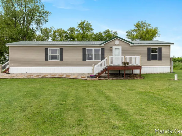 1007 Dildine Rd, Ionia, MI 48846