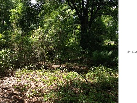 5th image of 11312 Echo View Dr