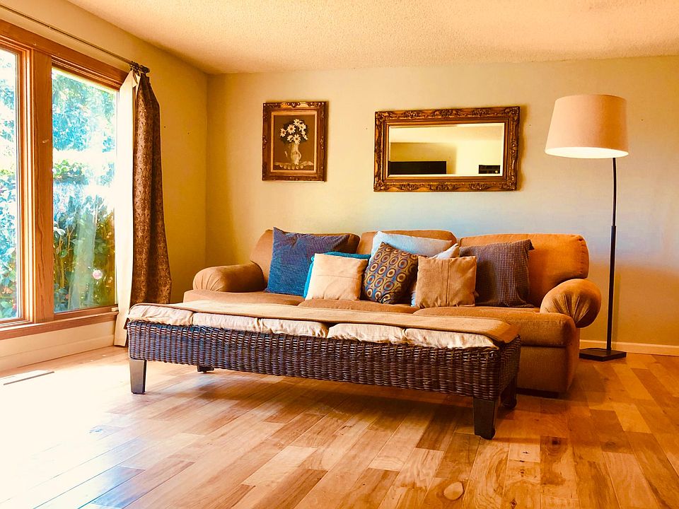 Light filled living room