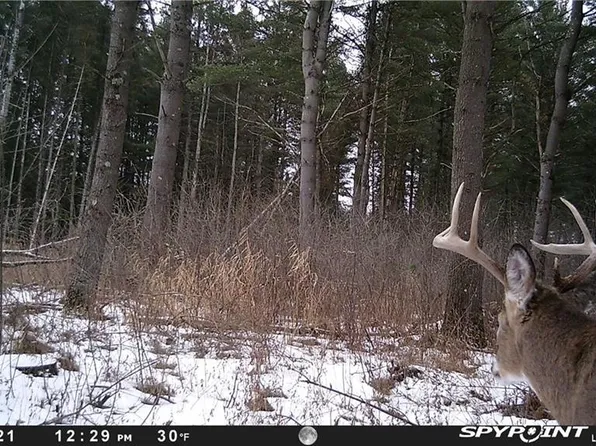 X County V, Ridgeland, WI 54763