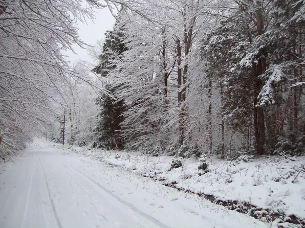 tbd Bearce Road, Lakeville, ME 04487