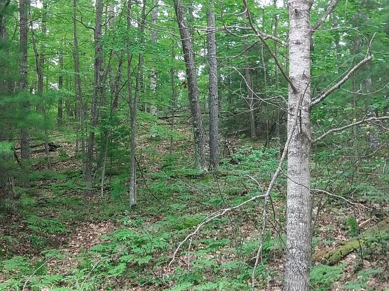 2nd image of 3738 Sitzmark Rd