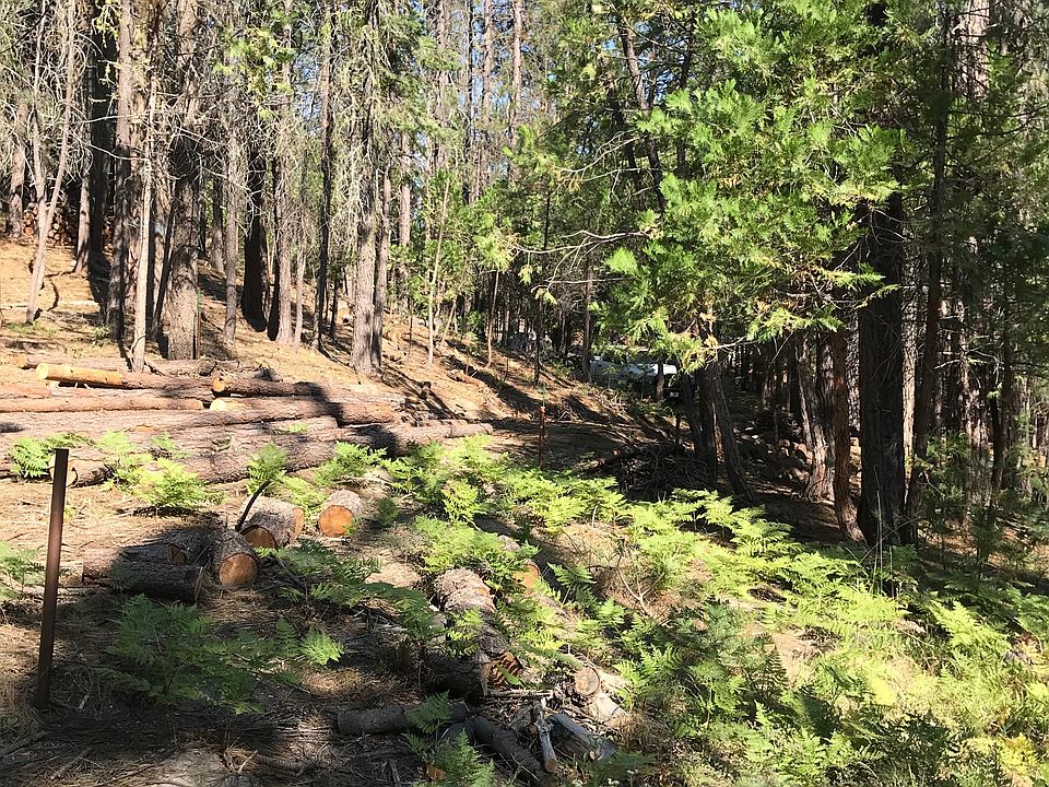 2nd image of Meadow Ln