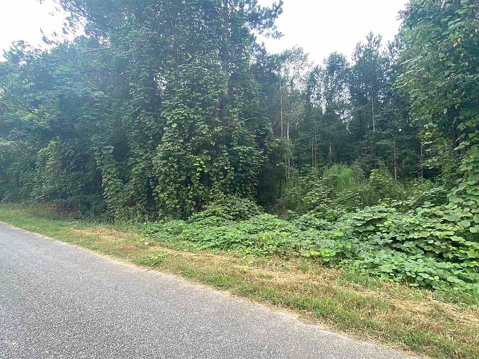 2nd image of 0 County Road 48