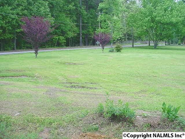 2nd image of 824 Burroughs Dr