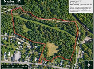 160 S Main St LOT 64, Naples, NY 14512