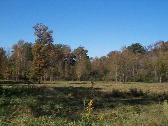 3rd image of W 2nd Hwy