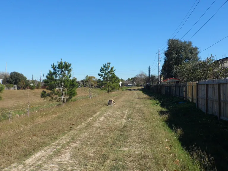 14806 Wind Free Dr — Photo 11