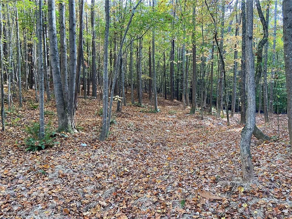 0 Lone Bear Path #14 photo 1